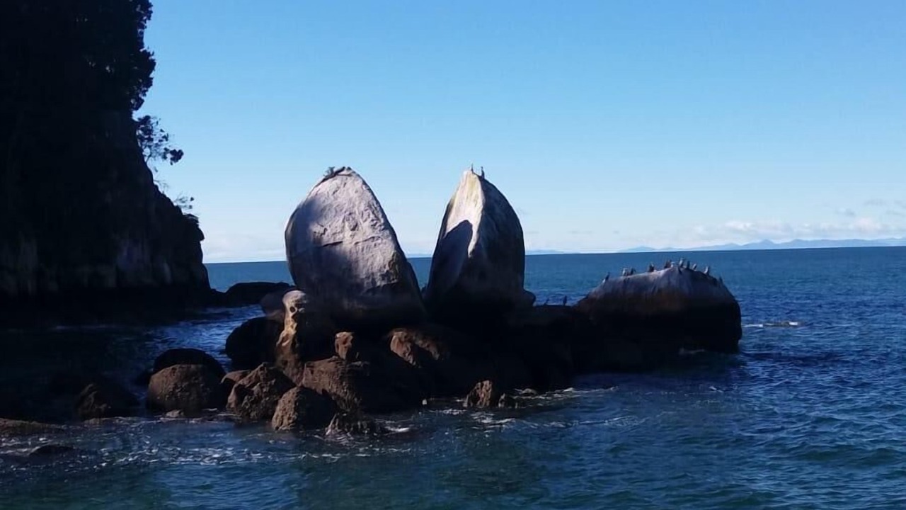 Photo of Others in Ngaio Bay