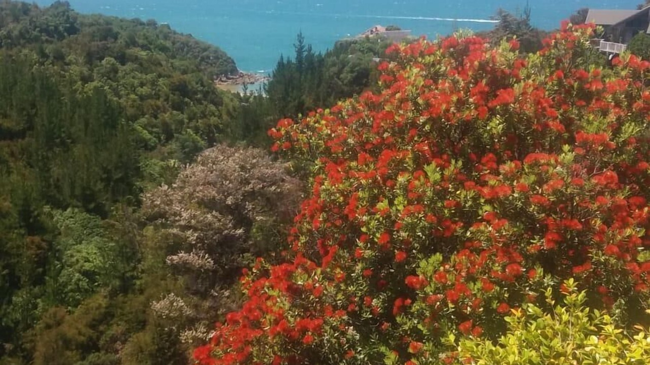 Photo of Outdoor in Ngaio Bay