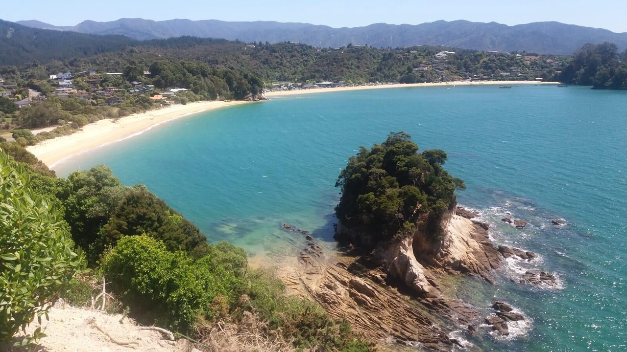 Photo of Others in Ngaio Bay