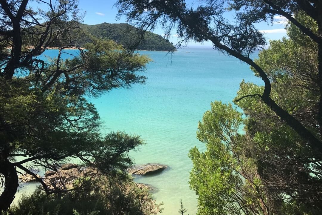 Photo of Others in Ngaio Bay