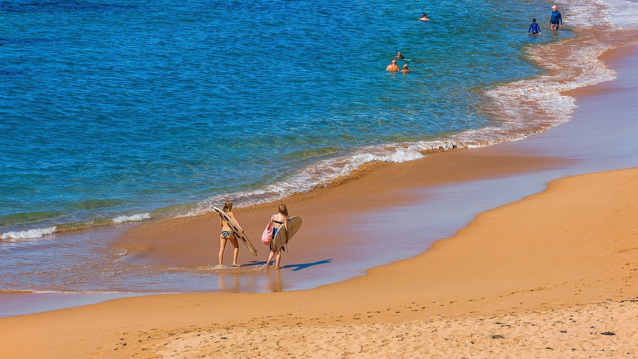 Photo of Others in Mona Vale