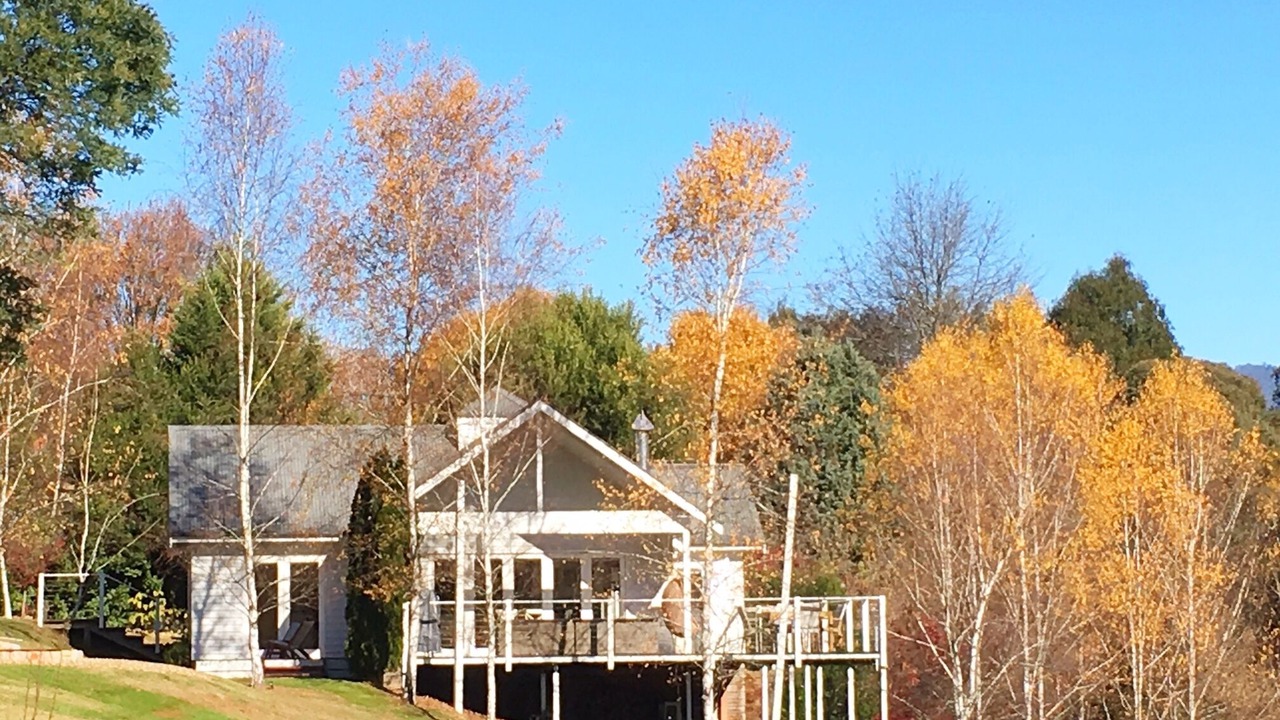 Photo of Outdoor in Bright