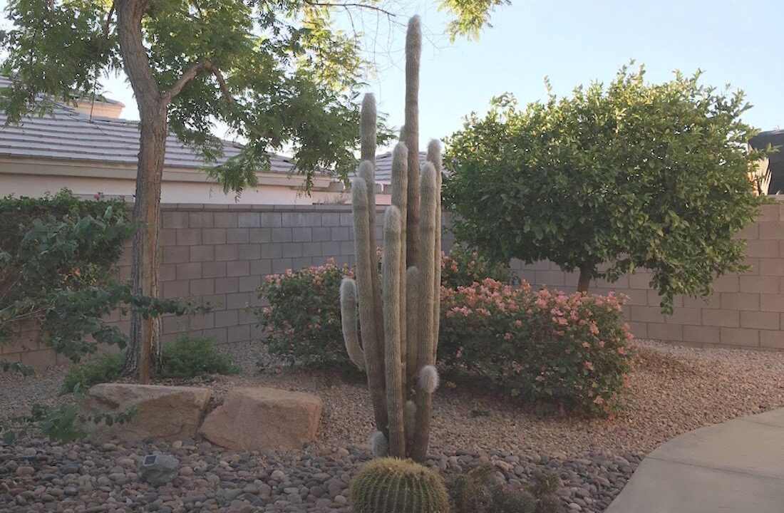 Photo of Outdoor in Desert Palms