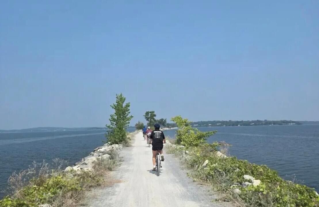 Photo of Others in Malletts Bay
