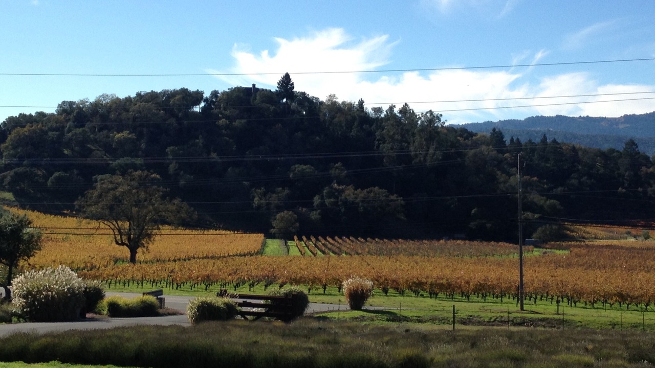Photo of Others in Napa