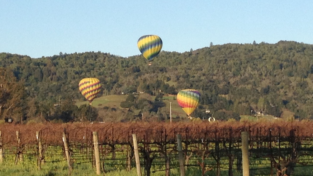 Photo of Others in Napa