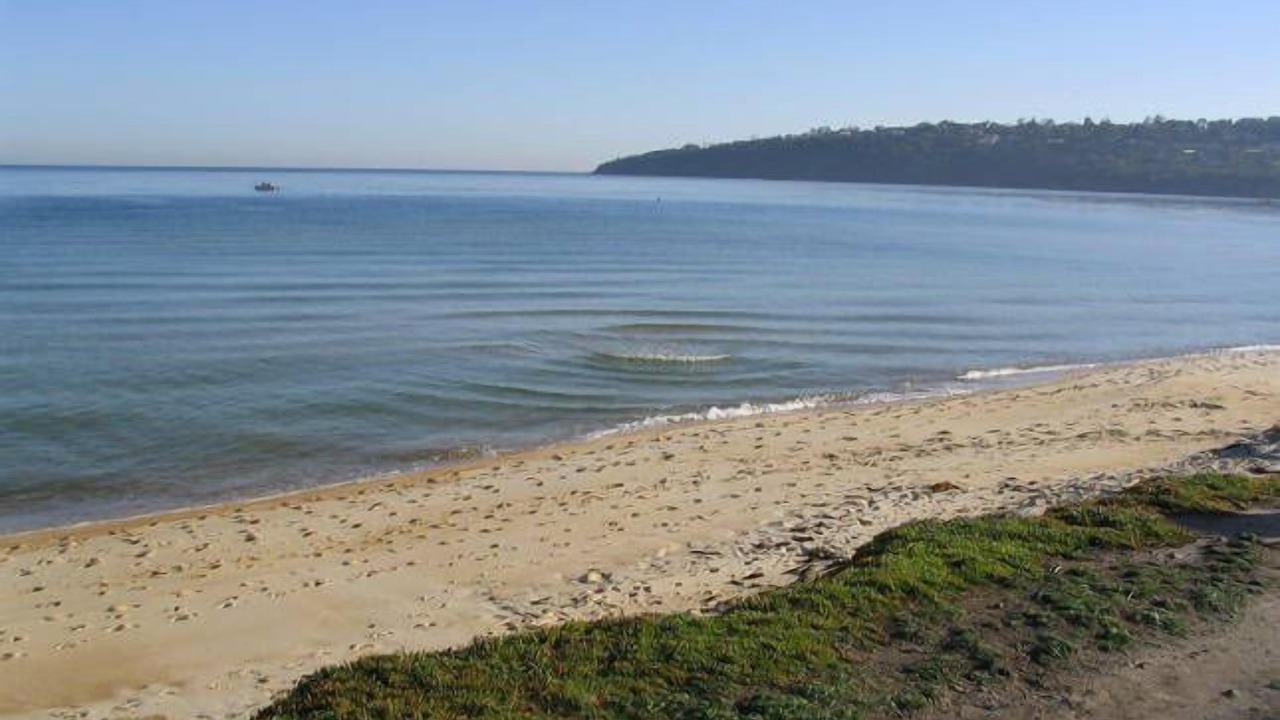 Photo of Others in Safety Beach