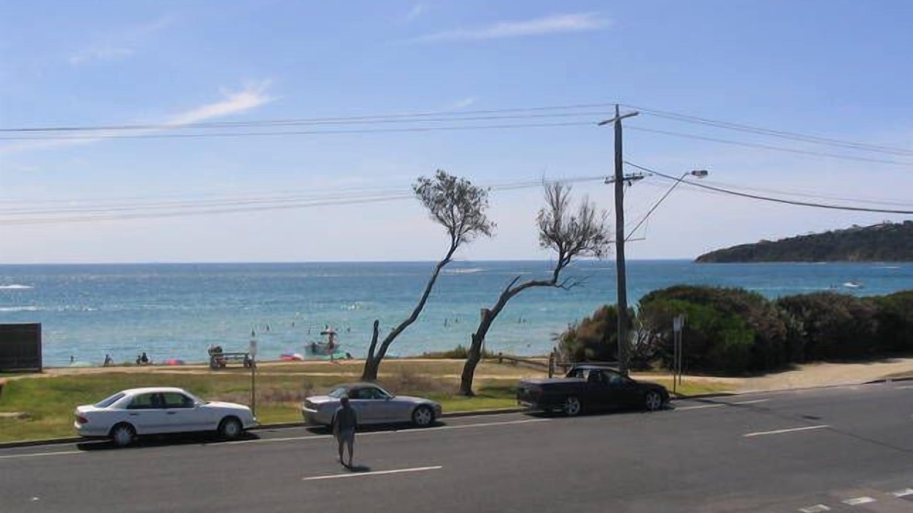 Photo of Others in Safety Beach