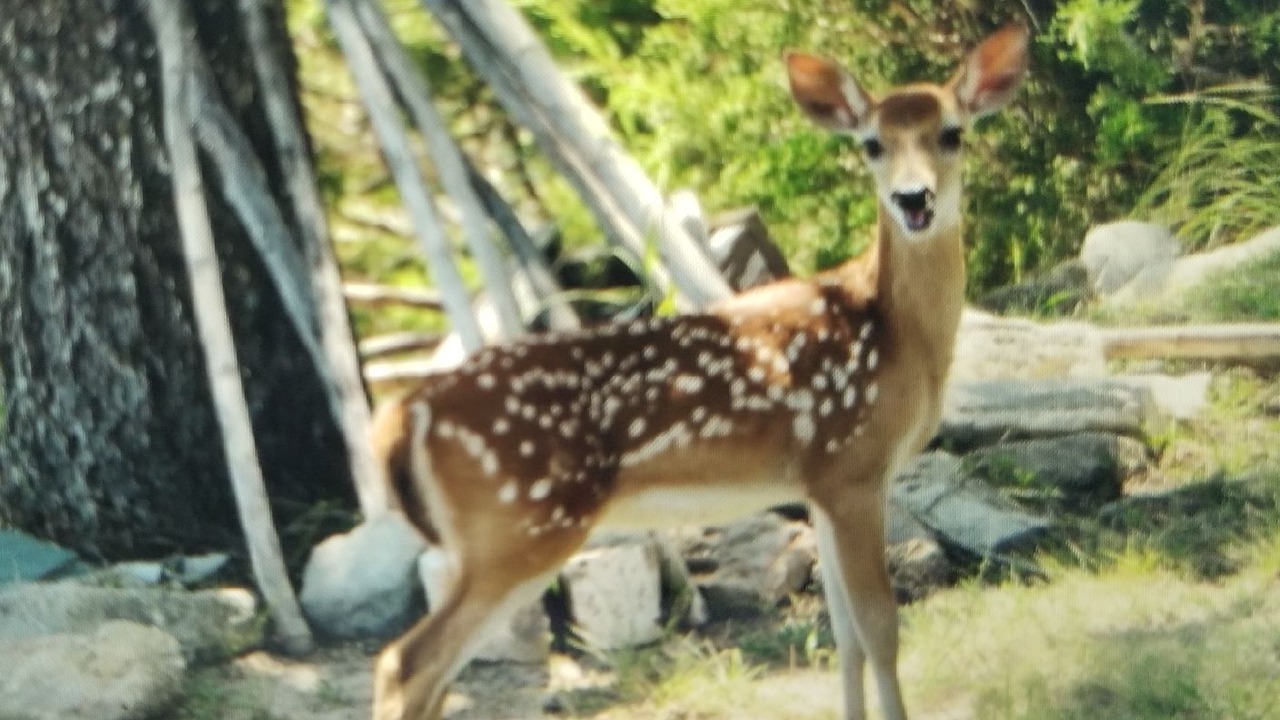 Photo of Outdoor in Comfort