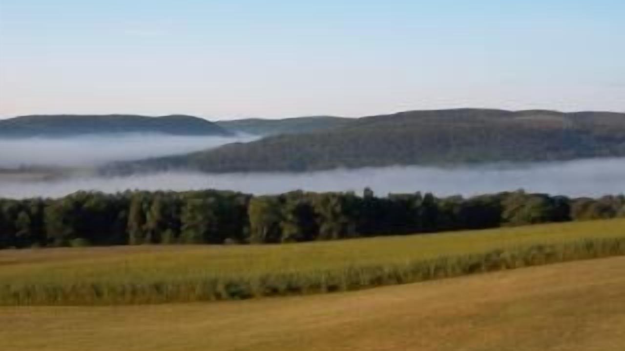 Photo of Others in Watkins Glen