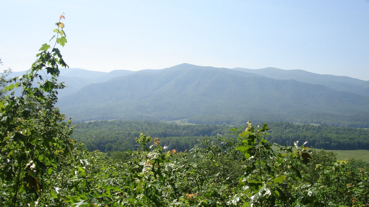Photo of Others in Sevierville
