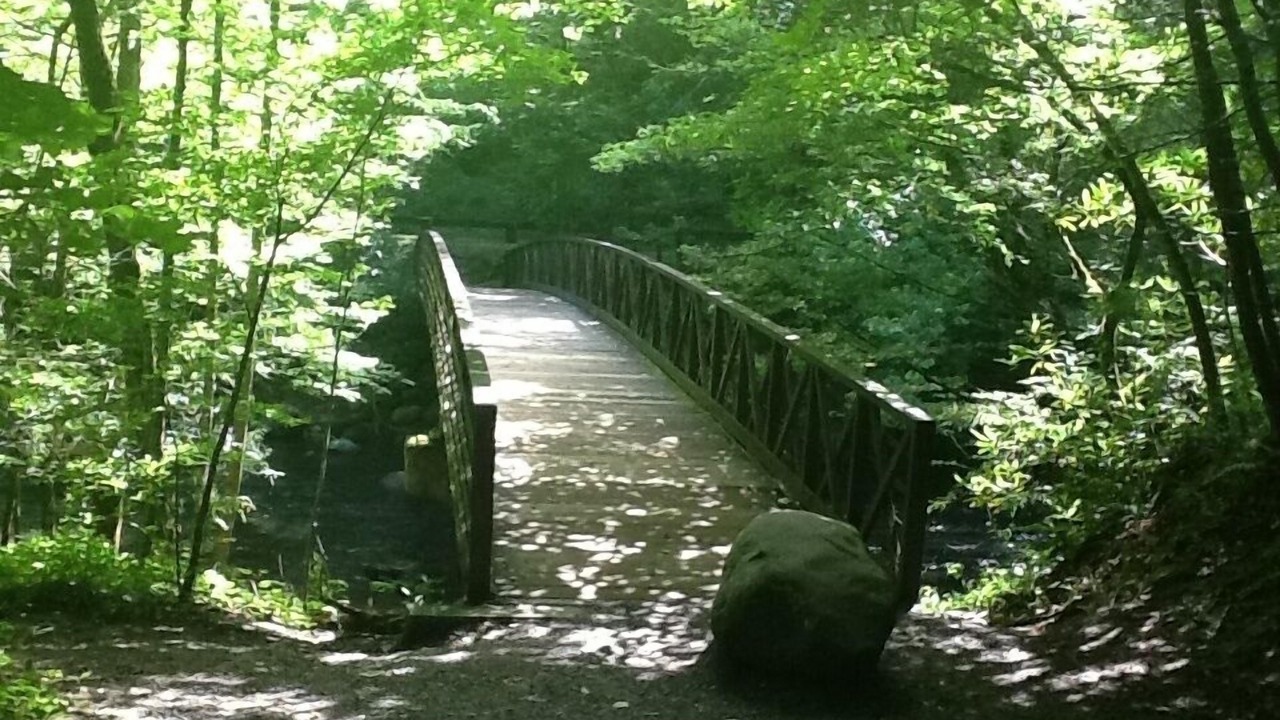 Photo of Outdoor in Sevierville