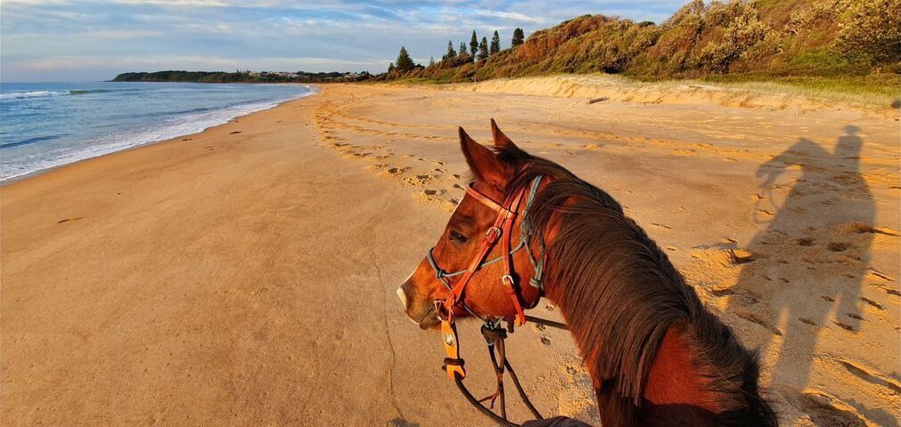 Photo of Others in Diamond Beach
