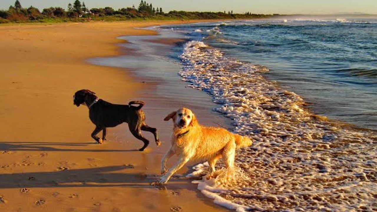 Photo of Others in Diamond Beach