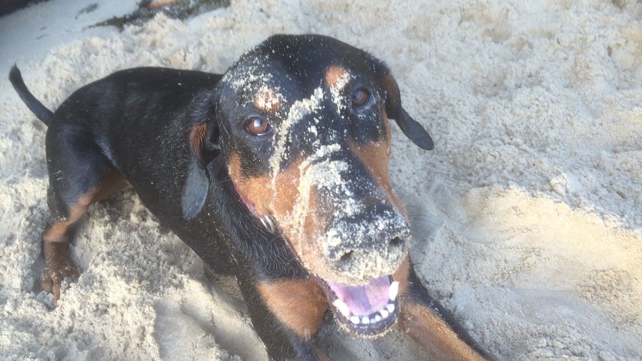 Photo of Others in Diamond Beach