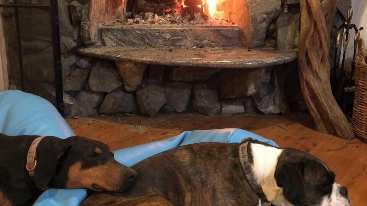 Photo of Others in Diamond Beach