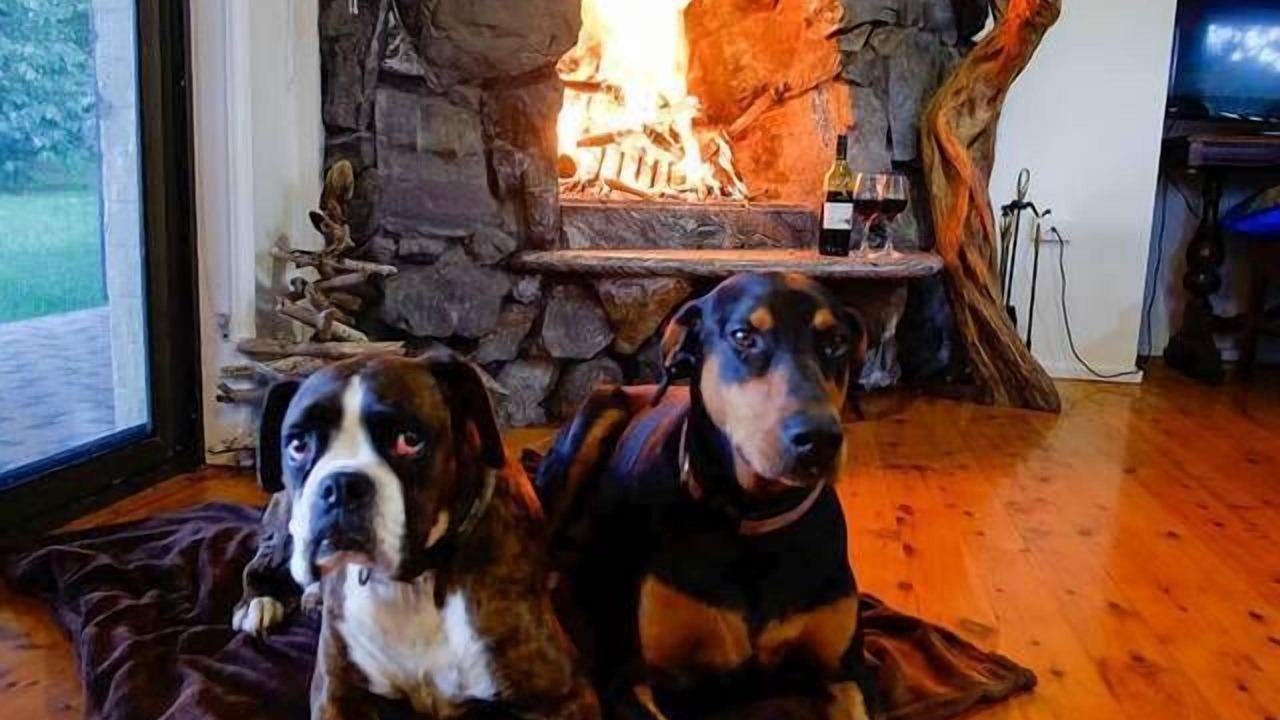 Photo of Livingroom in Diamond Beach