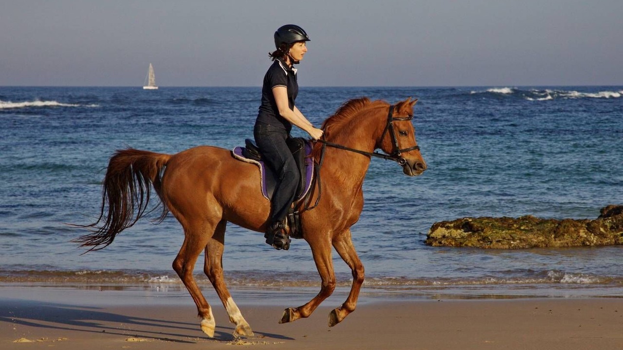 Photo of Others in Diamond Beach
