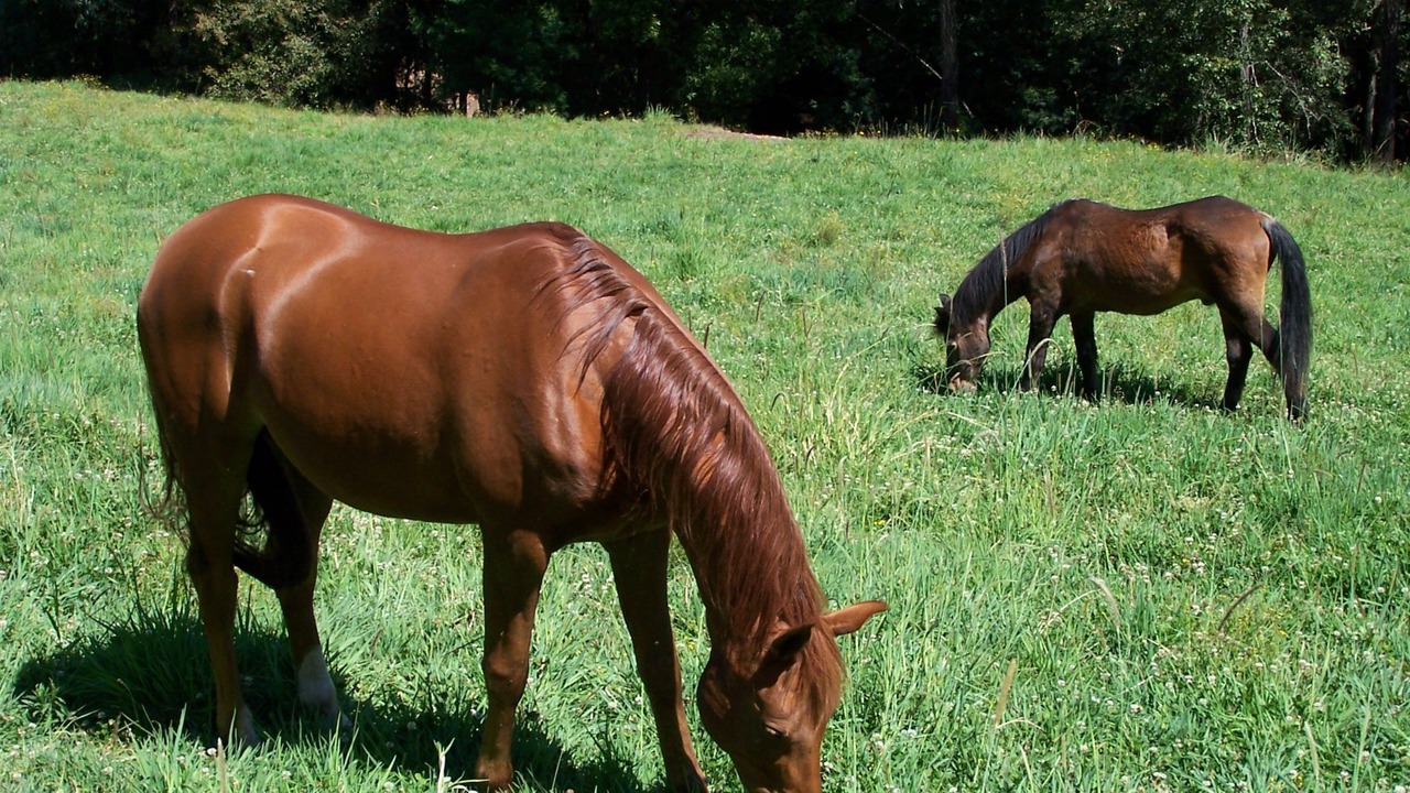 Photo of Others in Diamond Beach