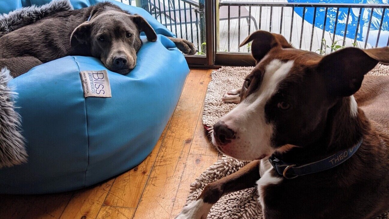 Photo of Others in Diamond Beach