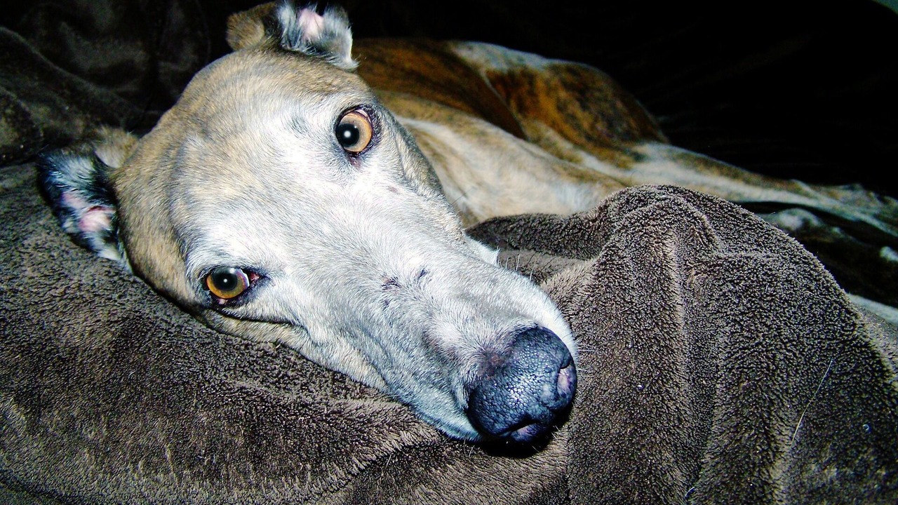 Photo of Others in Diamond Beach