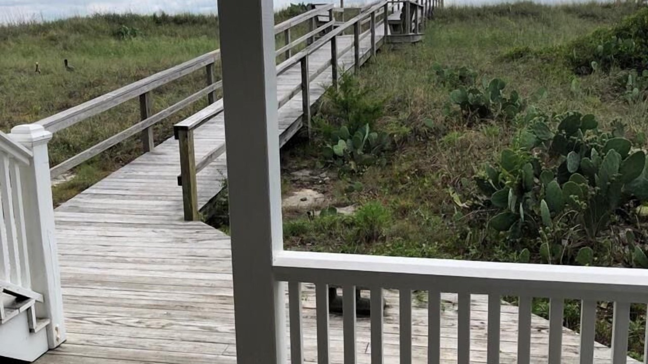 Photo of Outdoor in North Carolina Coast