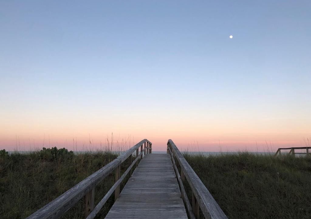 Photo of Others in North Carolina Coast