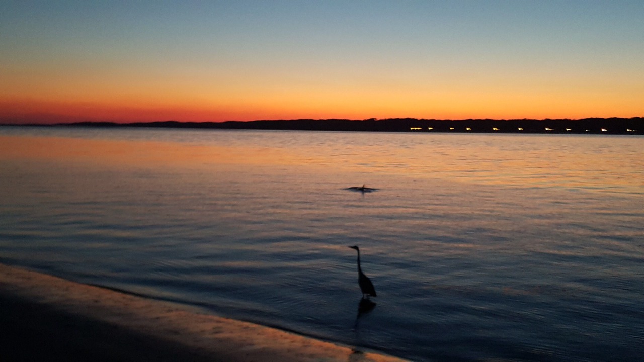 Photo of Others in Sea Pines