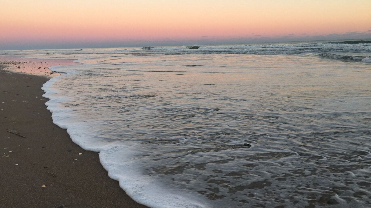 Photo of Others in Surf City
