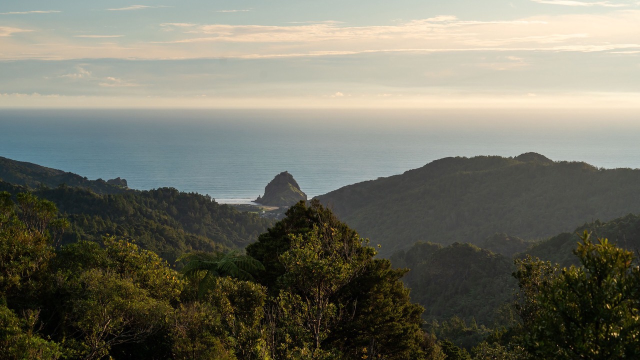 Photo of Others in Piha