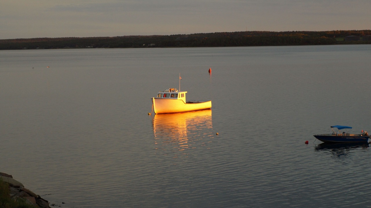 Photo of Others in Pictou