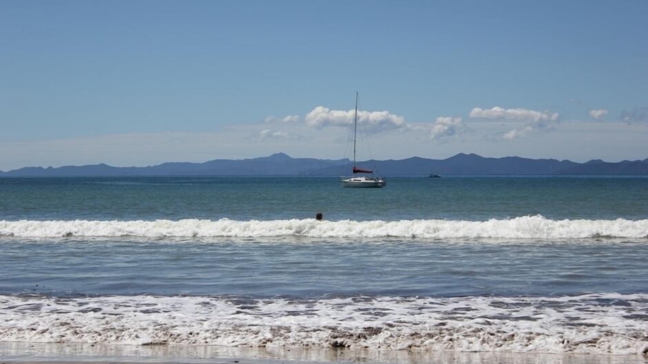 Photo of Others in Port Charles