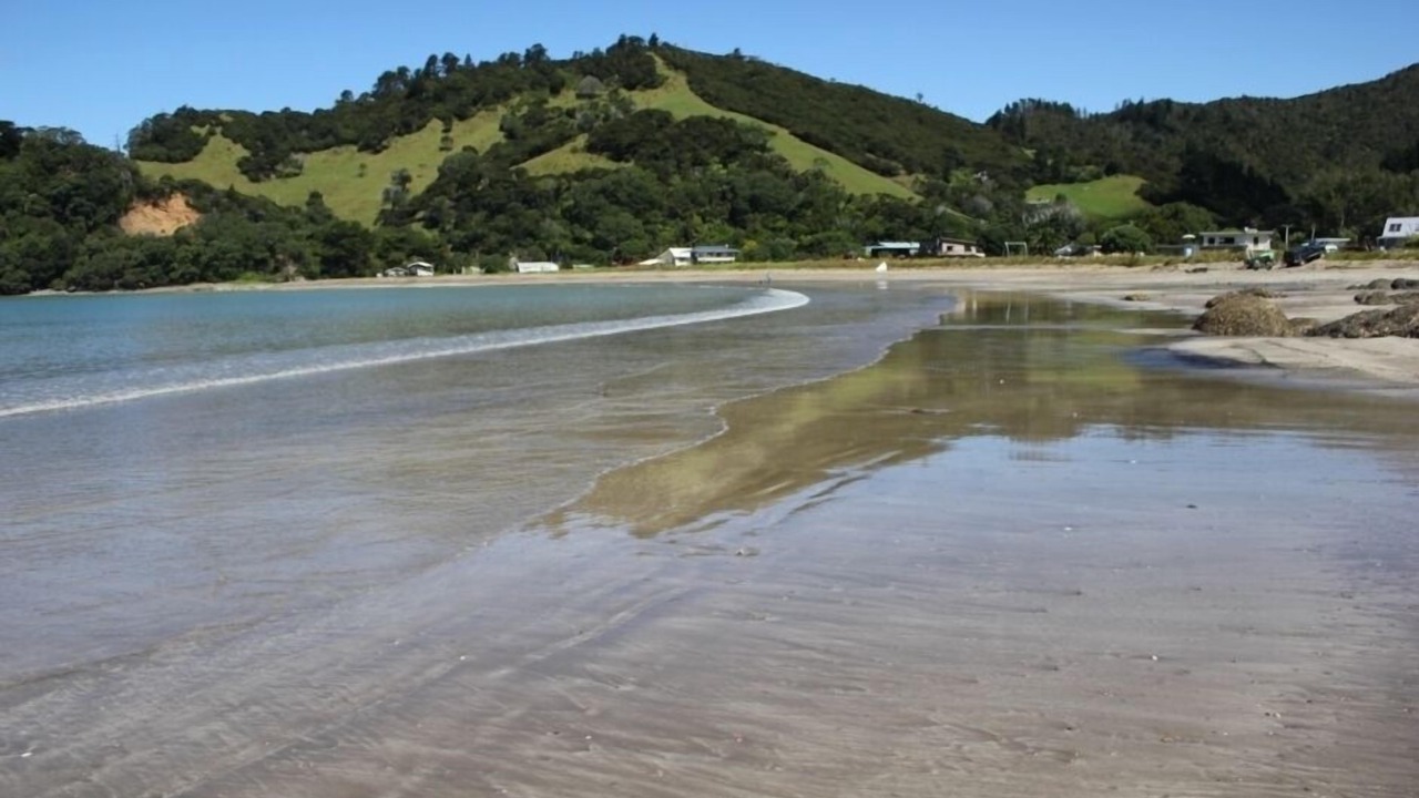 Photo of Others in Port Charles