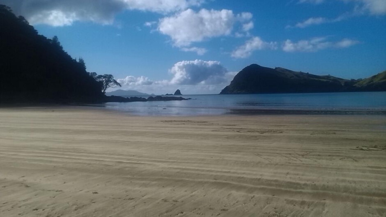 Photo of Others in Port Charles