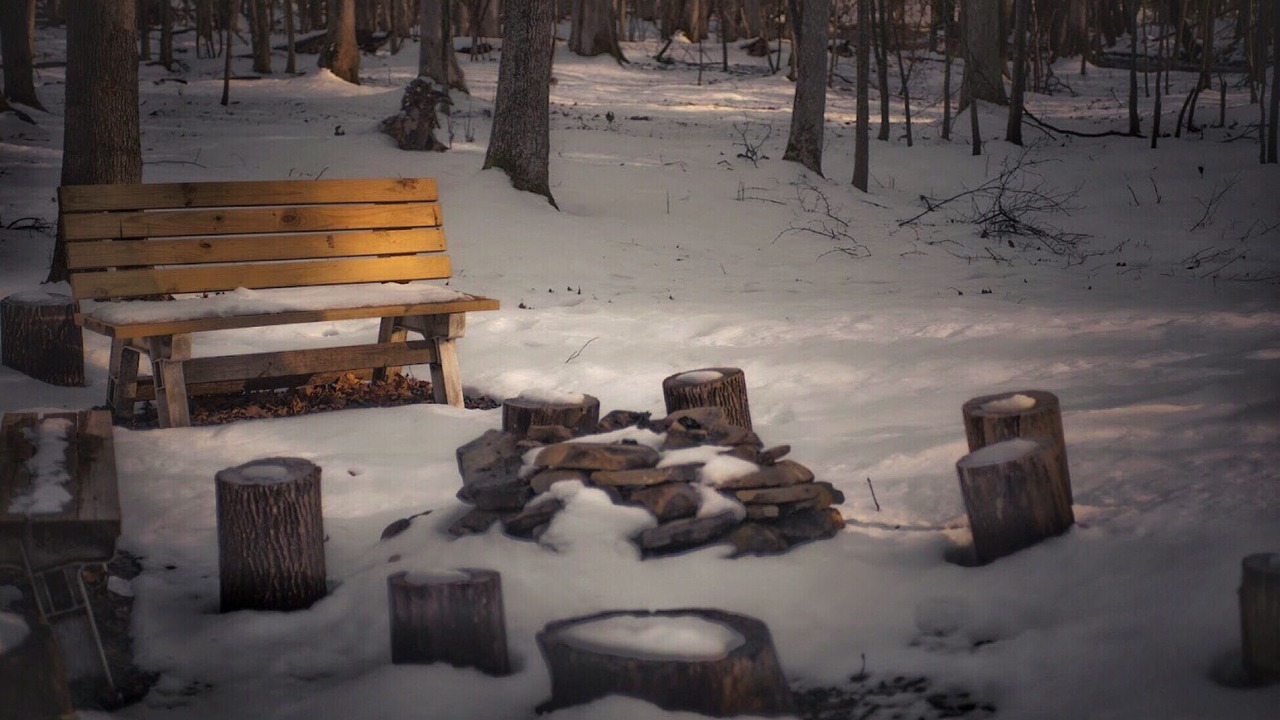 Photo of Others in Bushkill