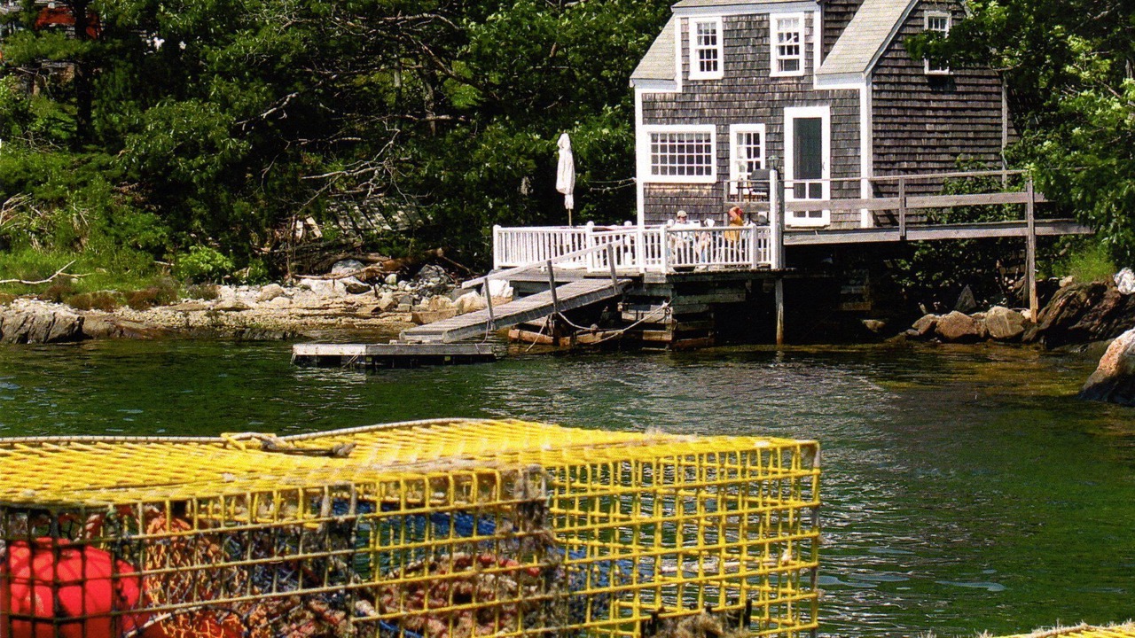 Photo of Outdoor in Walpole