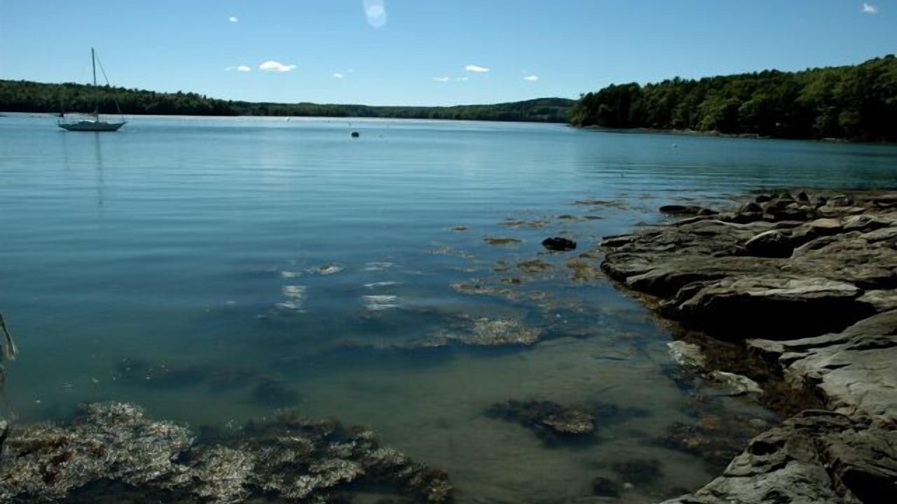 Photo of Others in Walpole