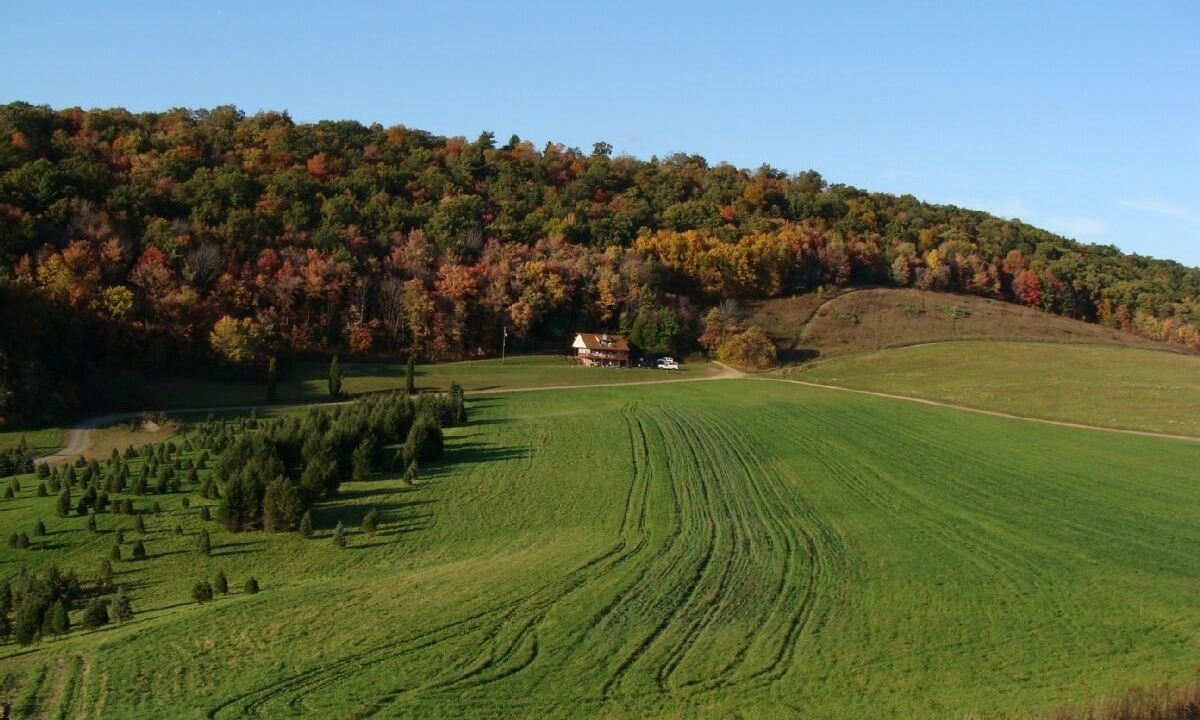 Photo of Others in Kunkletown