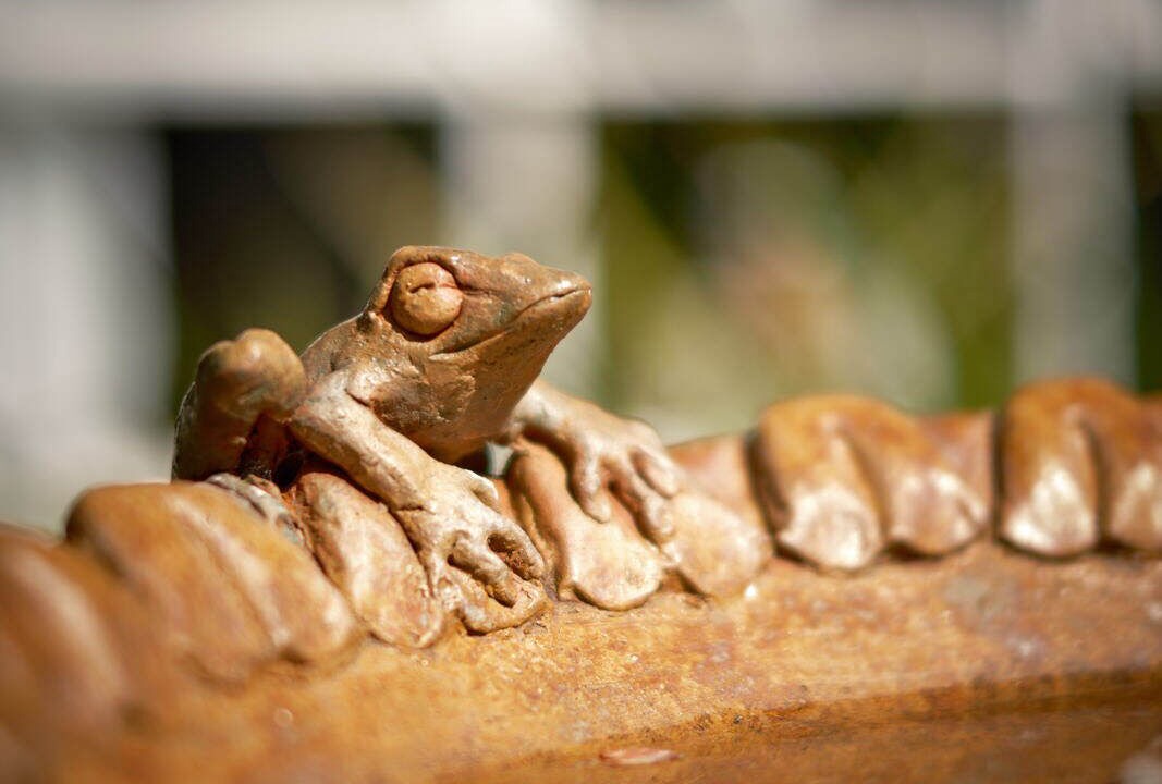 Photo of Outdoor in Shoreham