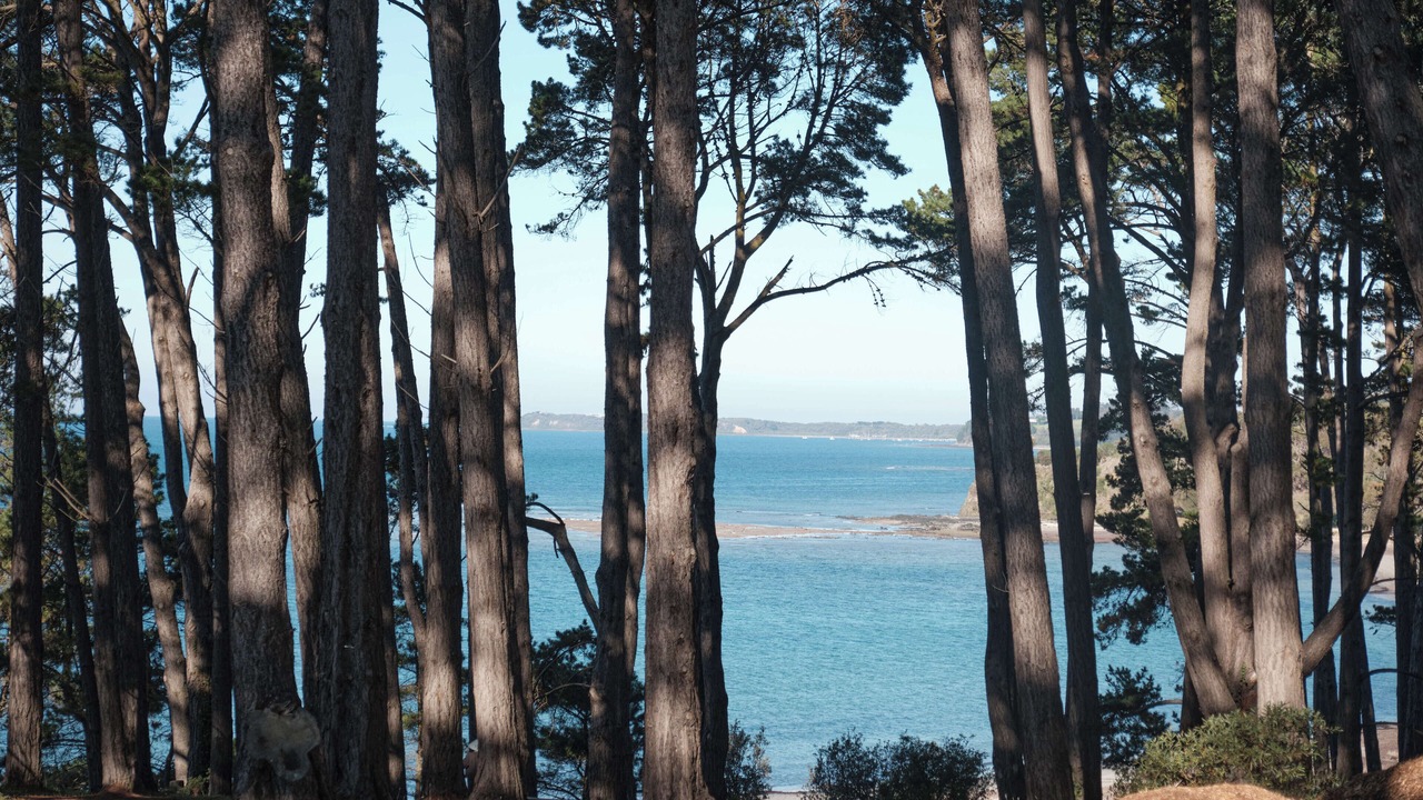 Photo of Others in Shoreham