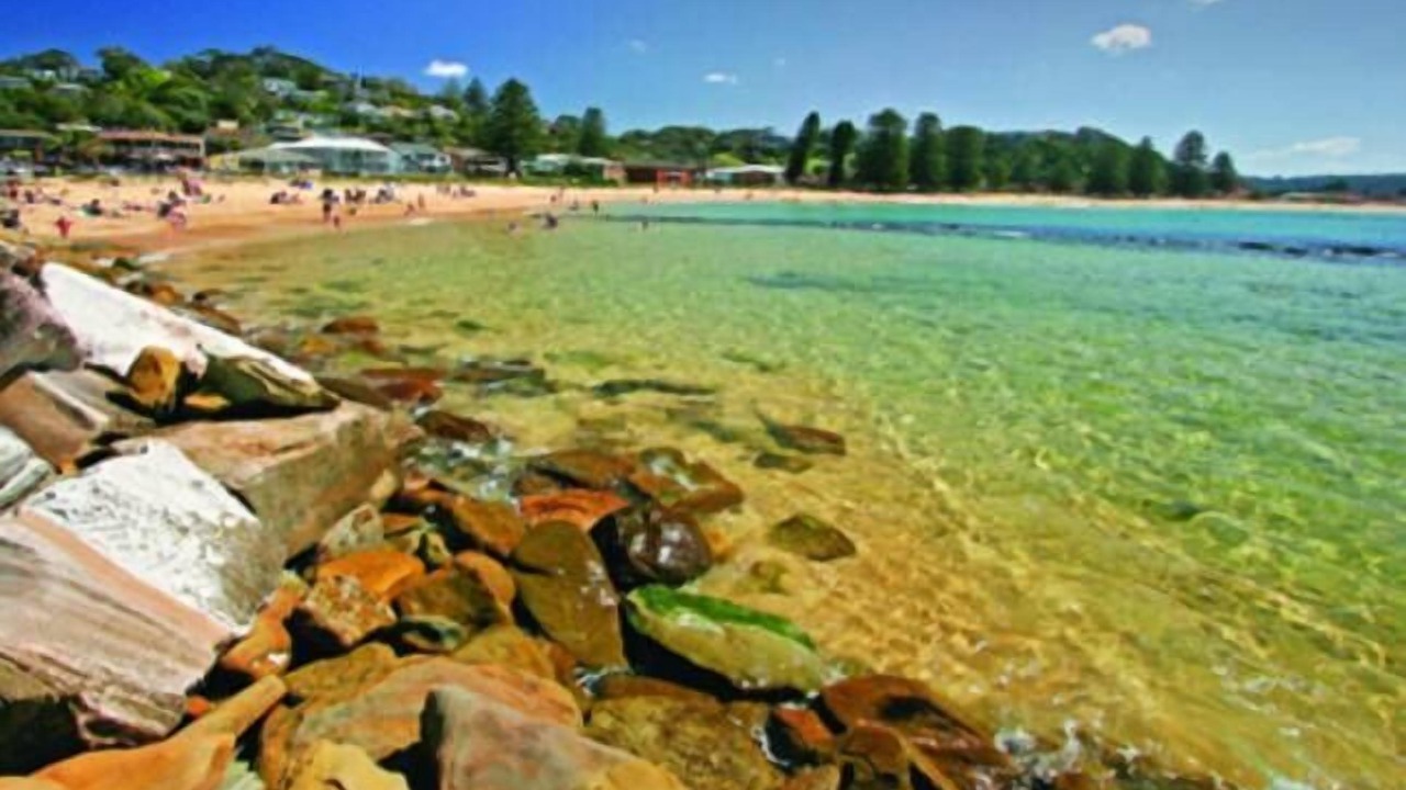 Photo of Others in Avoca Beach
