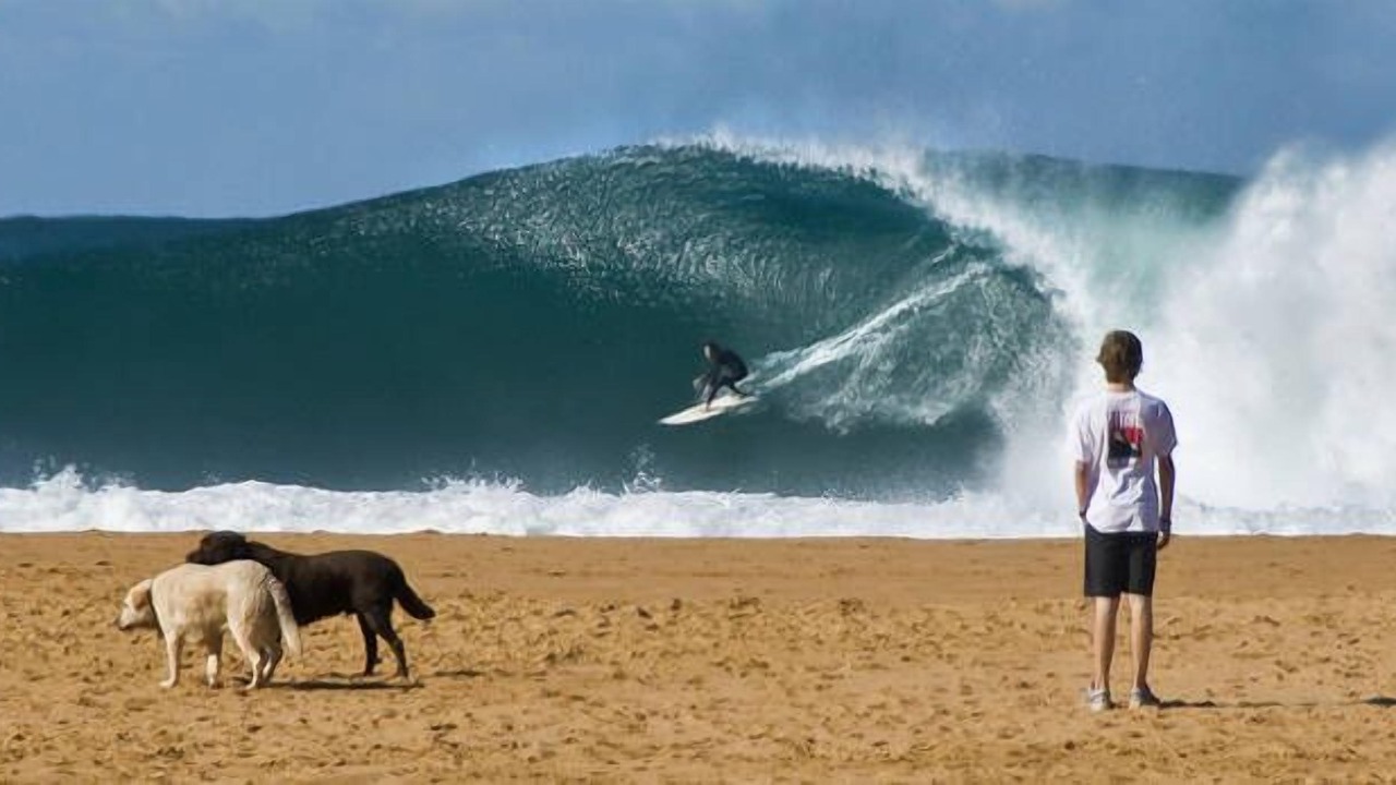 Photo of Others in Avoca Beach