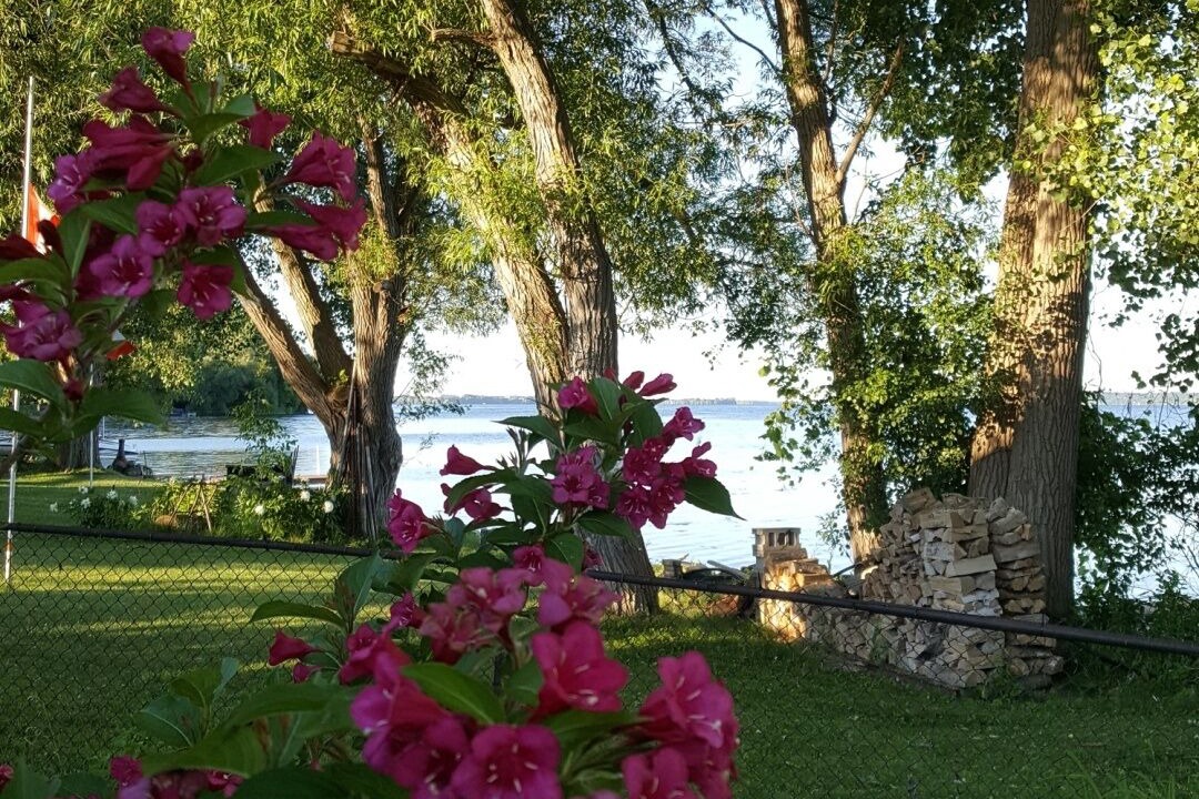 Photo of Outdoor in Trenton