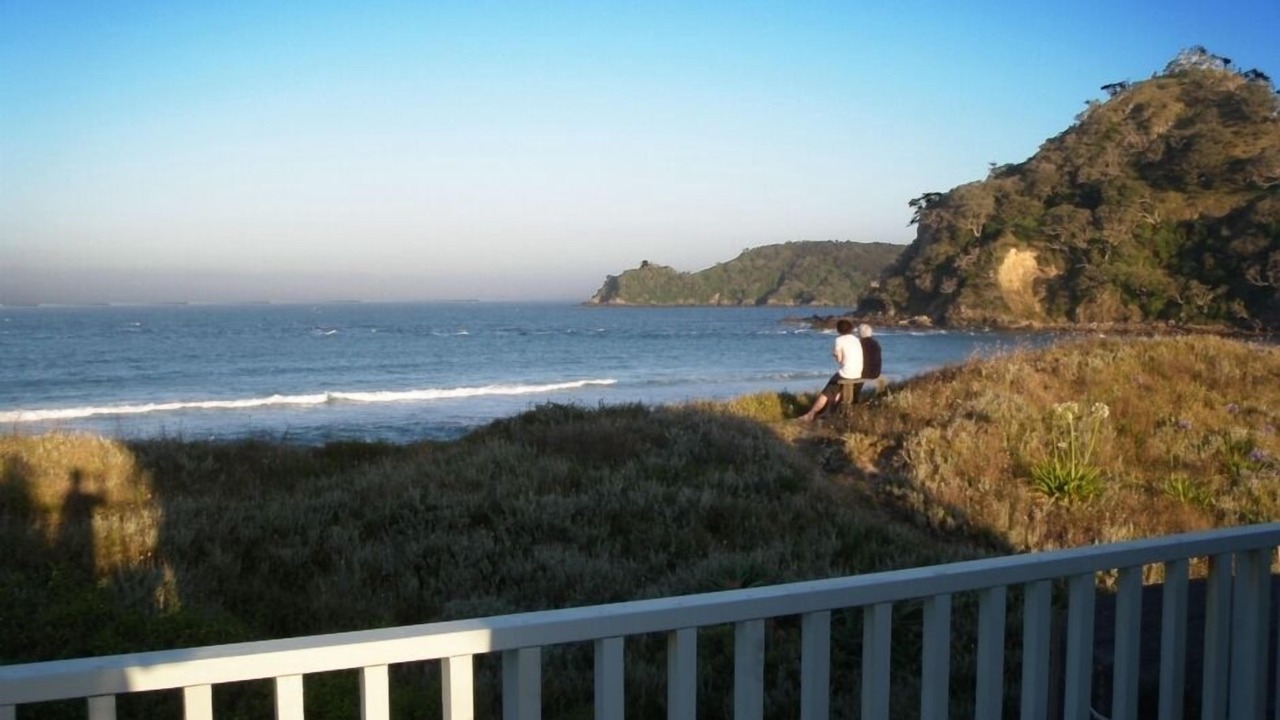 Photo of Others in Pataua North