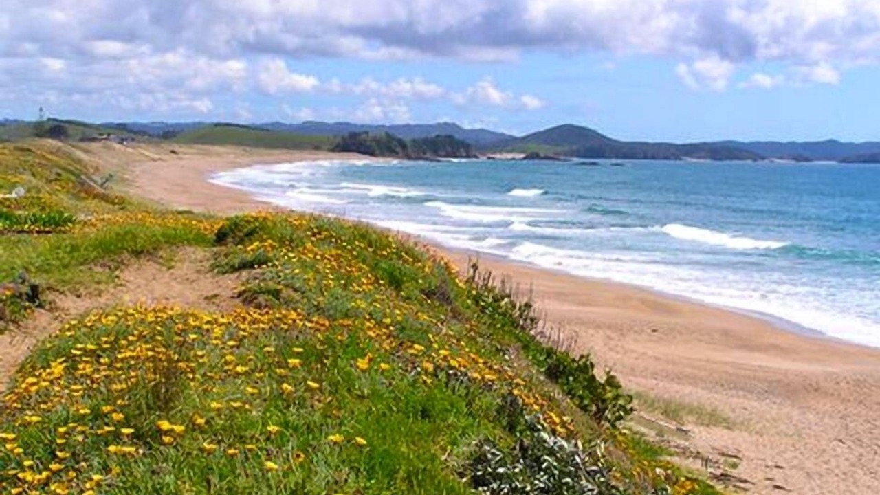 Photo of Others in Pataua North