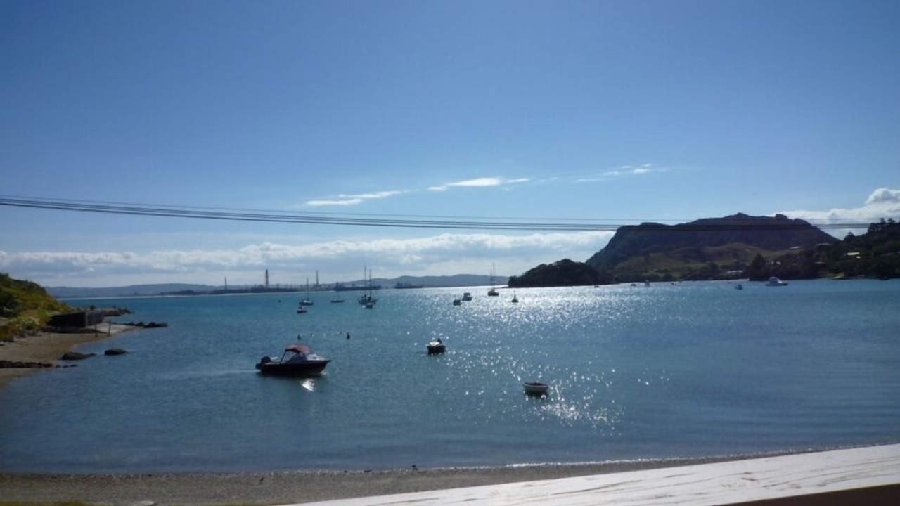 Photo of Others in Whangarei Heads