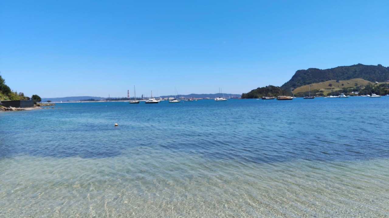 Photo of Others in Whangarei Heads