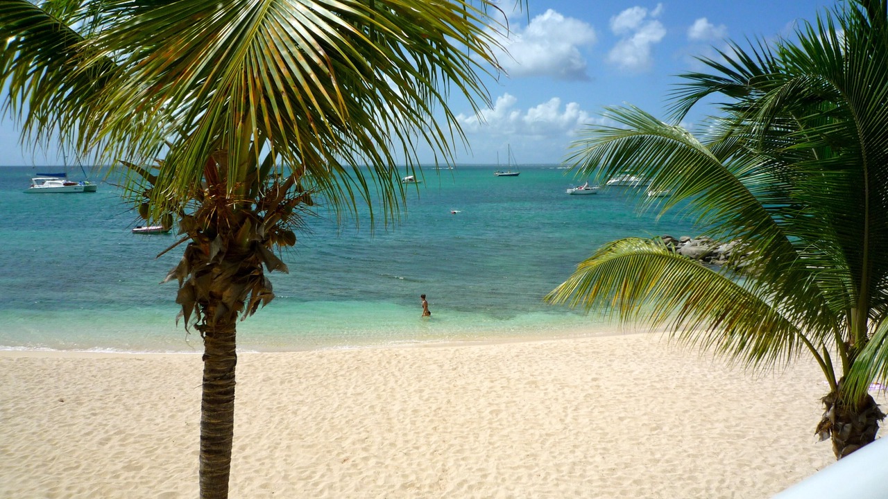 Photo of Others in Marigot