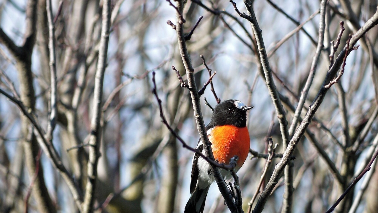 Photo of Others in Island Beach