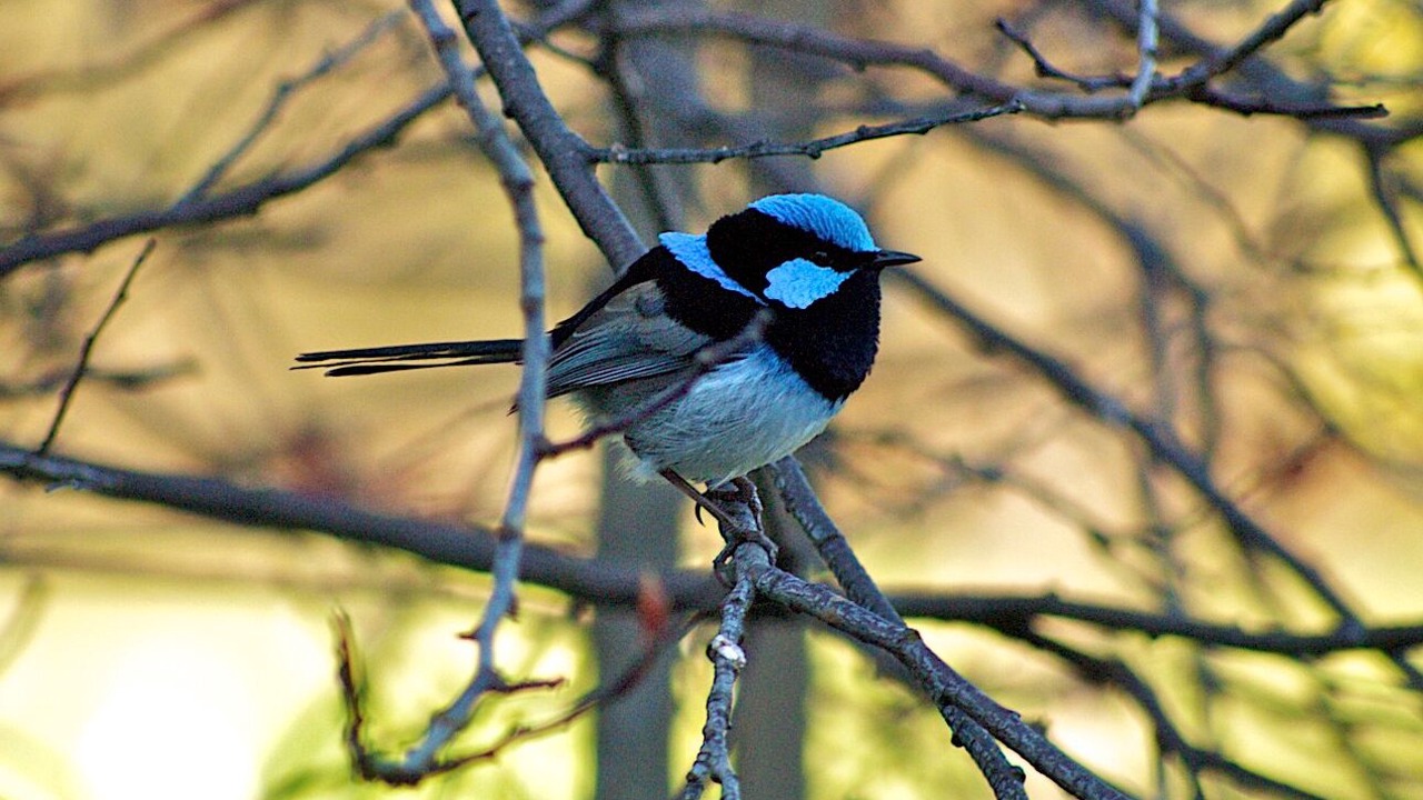 Photo of Outdoor in Island Beach
